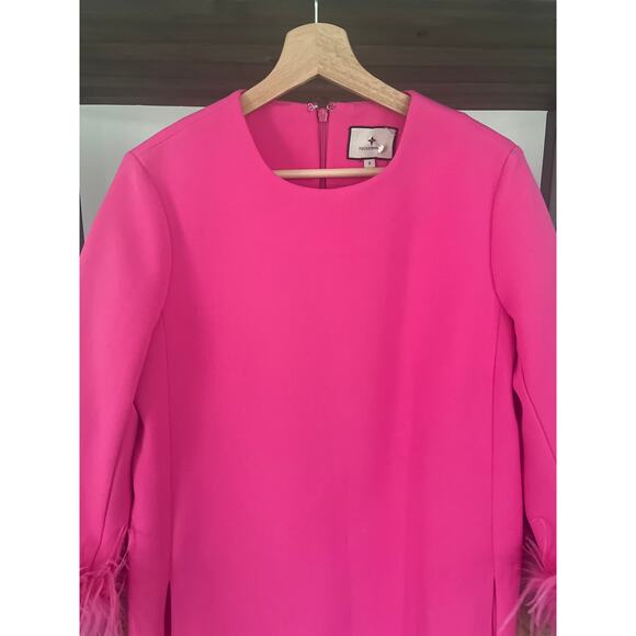 Tuckernuck Hot Pink Feather Mod Mary Dress Small - Picture 4 of 10